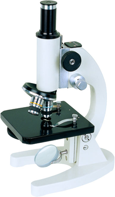 _BS_2000 Series Biological Microscope
